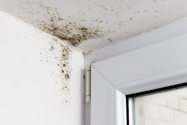 How To Fix Mold on Bathroom Ceiling