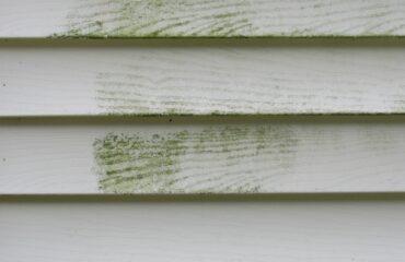Mold and mildew on the exterior siding of a house